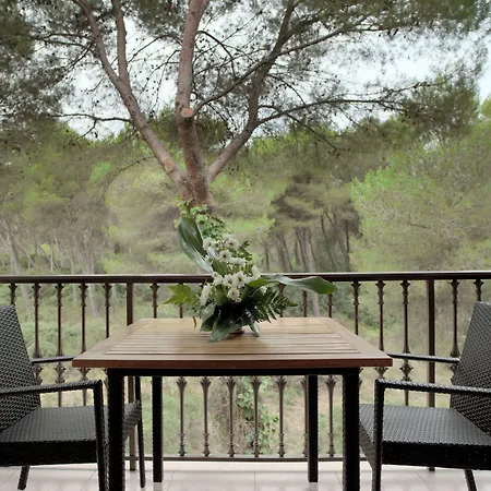 埃斯巴乌洛佩提特酒店 4*