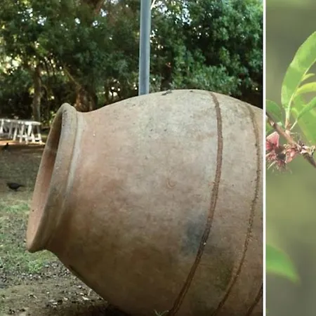 Es Baulo Petit Can Picafort (Mallorca)