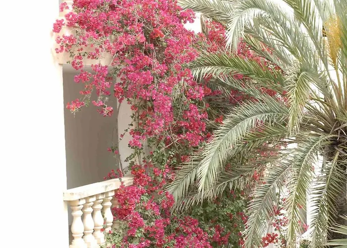 Es Baulo Petit Apartmanhotel