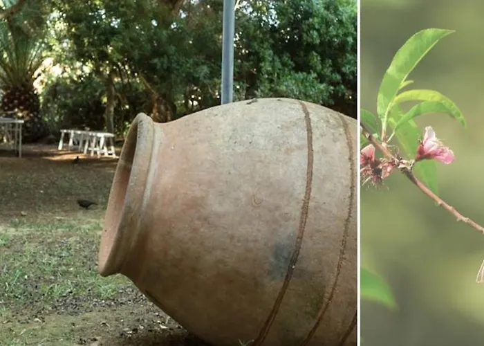 Es Baulo Petit Can Picafort (Mallorca)